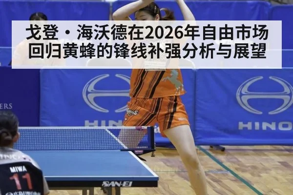 戈登·海沃德在2026年自由市场回归黄蜂的锋线补强分析与展望