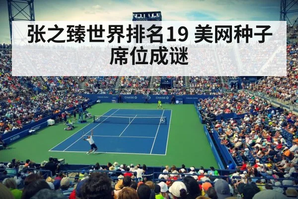 张之臻世界排名19 美网种子席位成谜