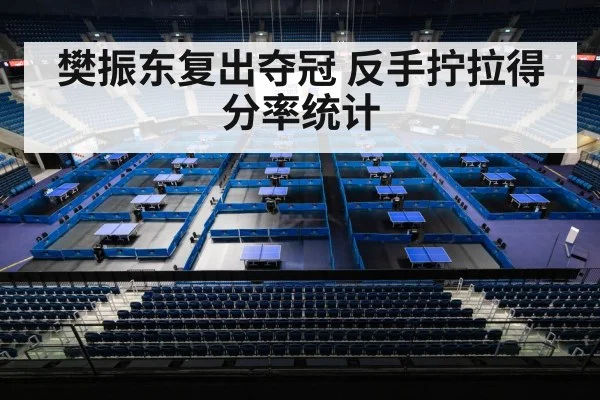樊振东复出夺冠 反手拧拉得分率统计